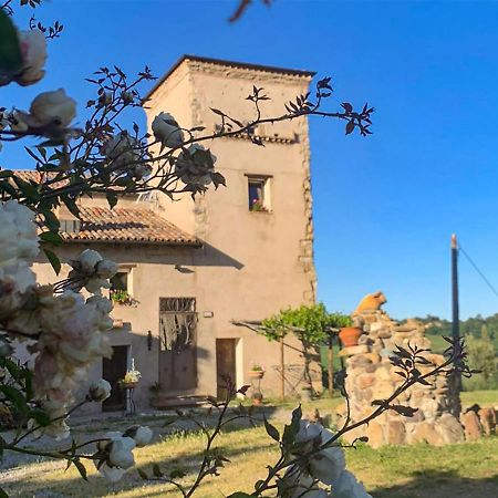 Soulful Holiday Home In Modena Wth Garden Exteriör bild
